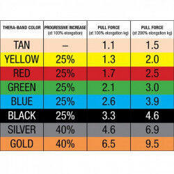 Thera Band Body trainer vaste grepen