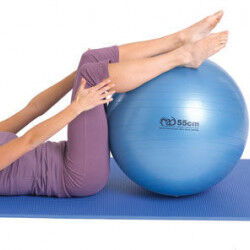 Swiss Ball 300 kg, 55 cm zonder pomp en DVD