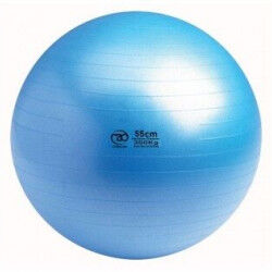 Swiss Ball 300 kg, 55 cm zonder pomp en DVD