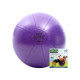 Swiss Ball - 500 kg, 55 cm met pomp