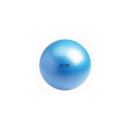 Swiss Ball | 300 kg, 65 cm