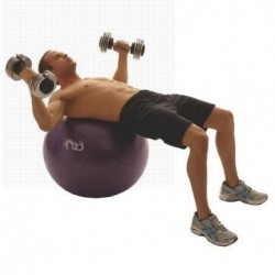 Swiss Ball - 500 kg, 55 cm met pomp