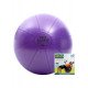 Swiss Ball - 500 kg, 55 cm met pomp Swiss Ball - 500 kg, 55 cm met pomp