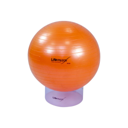 Gymbal 65 cm Diverse Kleuren