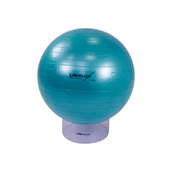 https://cdn.webshopapp.com/shops/73945/files/473644977/file.png