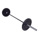 https://cdn.webshopapp.com/shops/73945/files/473652100/file.png