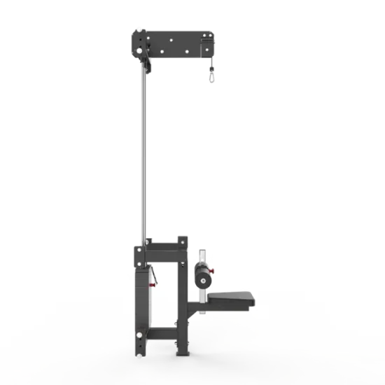 Cable Lat pulldown