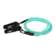 https://cdn.webshopapp.com/shops/73945/files/473978192/file.png