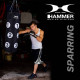 Hammer Boxing Punching bag Sparring met nummers, black, 80x30 cm