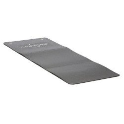 Planet Fitness Aerobic mat