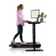 https://www.hammer.de/de-en/media/catalog/product/1/3/13007-walking-pad-geraet-01-neu.jpg?optimize=medium&bg-color=255,255,255&fit=bounds&height=&width=