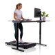 https://www.hammer.de/de-en/media/catalog/product/1/3/13007-walking-pad-geraet-01-neu.jpg?optimize=medium&bg-color=255,255,255&fit=bounds&height=&width=