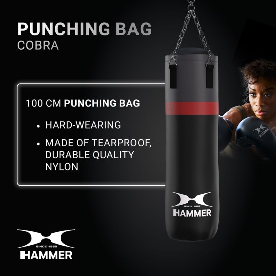 https://www.hammer.de/de-en/media/catalog/product/2/5/2512_hammer_boxing_cobra_weiss.jpg?optimize=medium&bg-color=255,255,255&fit=bounds&height=&width=