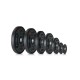 https://www.hammer.de/de-en/media/catalog/product/1/7/17040-17046_hantelscheibe_pu_gruppe_frontal_1.jpg?optimize=medium&bg-color=255,255,255&fit=bounds&height=&width=