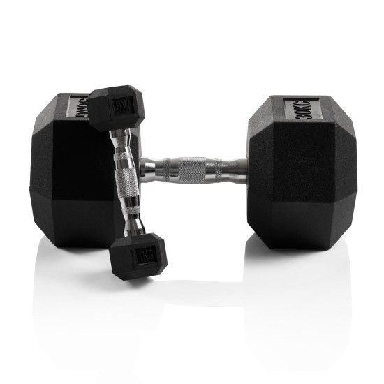 https://www.hammer.de/de-en/media/catalog/product/h/e/hexagon-hantelscheiben-a_-neu-en.jpg?optimize=medium&bg-color=255,255,255&fit=bounds&height=&width=