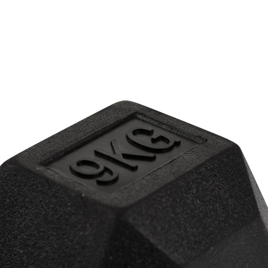 https://www.hammer.de/de-en/media/catalog/product/h/e/hexagon-hantelscheiben-a_-neu-en.jpg?optimize=medium&bg-color=255,255,255&fit=bounds&height=&width=