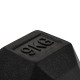 https://www.hammer.de/de-en/media/catalog/product/h/e/hexagon-hantelscheiben-a_-neu-en.jpg?optimize=medium&bg-color=255,255,255&fit=bounds&height=&width=