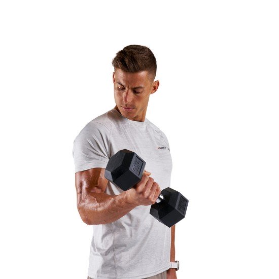 https://www.hammer.de/de-en/media/catalog/product/h/e/hexagon-hantelscheiben-a_-neu-en.jpg?optimize=medium&bg-color=255,255,255&fit=bounds&height=&width=