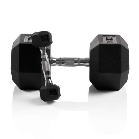 https://www.hammer.de/de-en/media/catalog/product/h/e/hexagon-hantelscheiben-a_-neu-en.jpg?optimize=medium&bg-color=255,255,255&fit=bounds&height=&width=