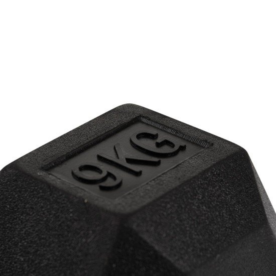 https://www.hammer.de/de-en/media/catalog/product/h/e/hexagon-hantelscheiben-a_-neu-en.jpg?optimize=medium&bg-color=255,255,255&fit=bounds&height=&width=