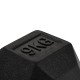 https://www.hammer.de/de-en/media/catalog/product/h/e/hexagon-hantelscheiben-a_-neu-en.jpg?optimize=medium&bg-color=255,255,255&fit=bounds&height=&width=