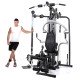 https://www.hammer.de/de-en/media/catalog/product/3/9/3940-finnlo-kraftstation-autark-6000-01.jpg?optimize=medium&bg-color=255,255,255&fit=bounds&height=&width=