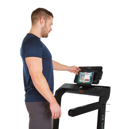 https://www.hammer.de/de-en/media/catalog/product/5/1/5160-laufband-hammer-qvadis-3-geraet-01.jpg?optimize=medium&bg-color=255,255,255&fit=bounds&height=&width=