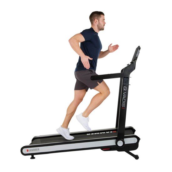 https://www.hammer.de/de-en/media/catalog/product/5/1/5160-laufband-hammer-qvadis-3-geraet-01.jpg?optimize=medium&bg-color=255,255,255&fit=bounds&height=&width=