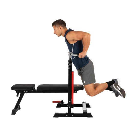 https://www.hammer.de/de-en/media/catalog/product/5/2/5202-hammer-hantelbank-force4.0-geraet-03_1-de.jpg?optimize=medium&bg-color=255,255,255&fit=bounds&height=&width=