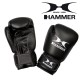 https://www.hammer.de/de-en/media/catalog/product/e/a/ean_4005251920134_fs_box-set_sparring_pro_v01.jpg?optimize=medium&bg-color=255,255,255&fit=bounds&height=&width=