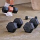 https://www.hammer.de/de-en/media/catalog/product/h/e/hexagon-hantelscheiben-a_-neu-en.jpg?optimize=medium&bg-color=255,255,255&fit=bounds&height=&width=