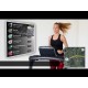 https://www.hammer.de/de-en/media/catalog/product/5/1/5160-laufband-hammer-qvadis-3-geraet-01.jpg?optimize=medium&bg-color=255,255,255&fit=bounds&height=&width=
