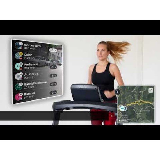 https://www.hammer.de/de-en/media/catalog/product/5/1/5160-laufband-hammer-qvadis-3-geraet-01.jpg?optimize=medium&bg-color=255,255,255&fit=bounds&height=&width=