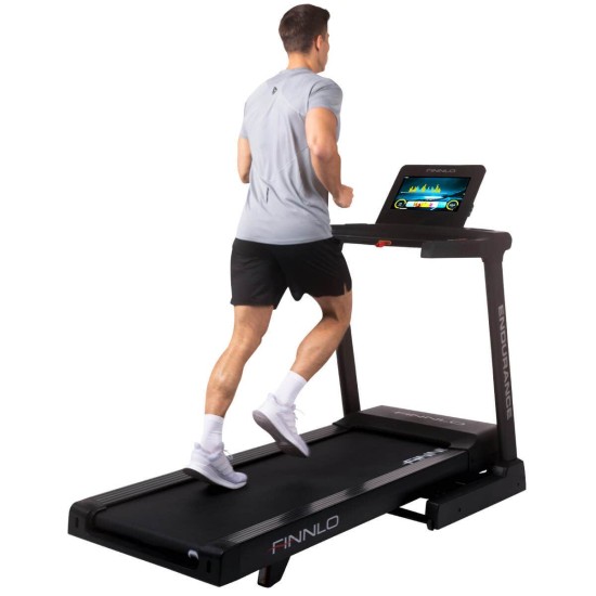 https://www.hammer.de/de-en/media/catalog/product/s/a/sammeldatei-3503-finnlo-laufband-endurance-tft-geraet-01.jpg?optimize=medium&bg-color=255,255,255&fit=bounds&height=&width=