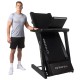https://www.hammer.de/de-en/media/catalog/product/s/a/sammeldatei-3503-finnlo-laufband-endurance-tft-geraet-01.jpg?optimize=medium&bg-color=255,255,255&fit=bounds&height=&width=