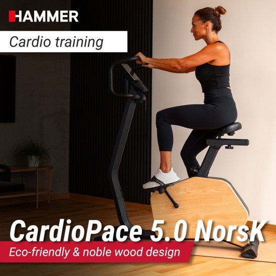 https://www.hammer.de/de-en/media/catalog/product/1/0/10000-cardiopace-5.0-norsk-geraet-04.jpg?optimize=medium&bg-color=255,255,255&fit=bounds&height=&width=