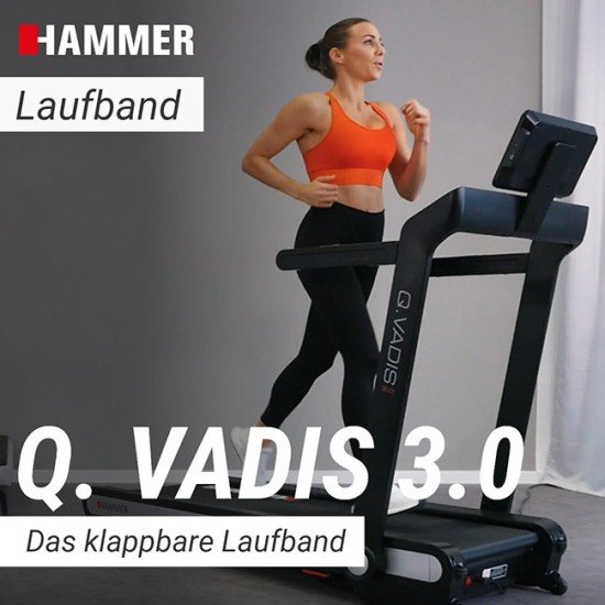 https://www.hammer.de/de-en/media/catalog/product/5/1/5160-laufband-hammer-qvadis-3-geraet-01.jpg?optimize=medium&bg-color=255,255,255&fit=bounds&height=&width=