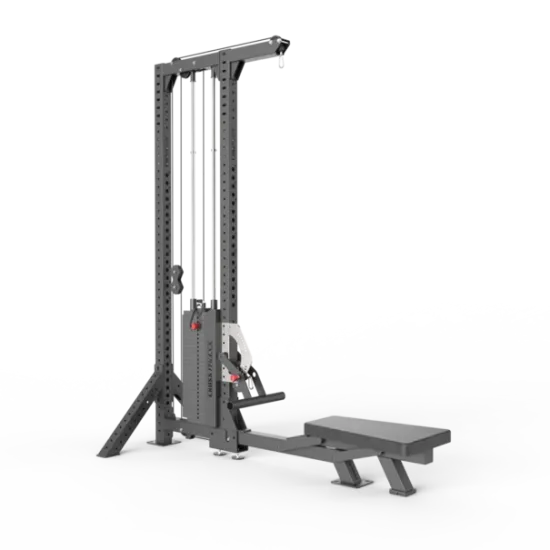 Low Row & Lat Pulldown Low Row & Lat Pulldown