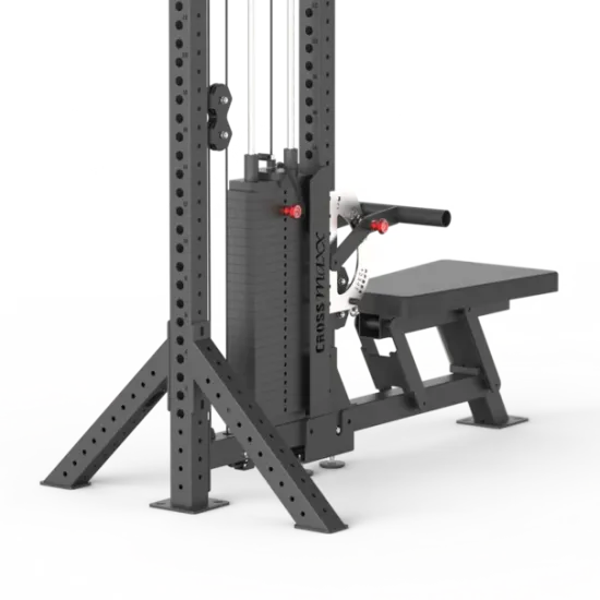 Low Row & Lat Pulldown Low Row & Lat Pulldown