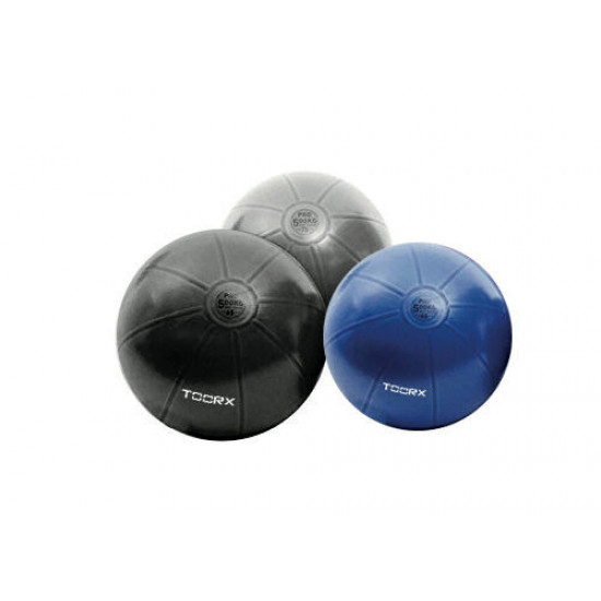 Toorx Gymbal PRO - 500 kg55 cm - Blauw