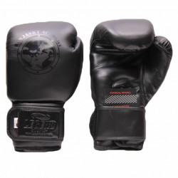 Bokshandschoenen Remy Bonjasky Legend Mat zwart - Maat: 12oz