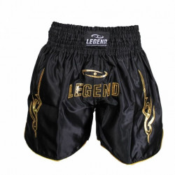 Kickboks broekje legend lang model goud - Maat: L