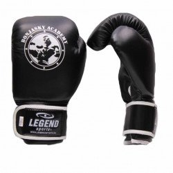 Bokshandschoenen Remy Bonjasky Legend zwart - Maat: 10oz