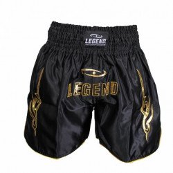 Kickboks broekje legend lang model goud - Maat: XL